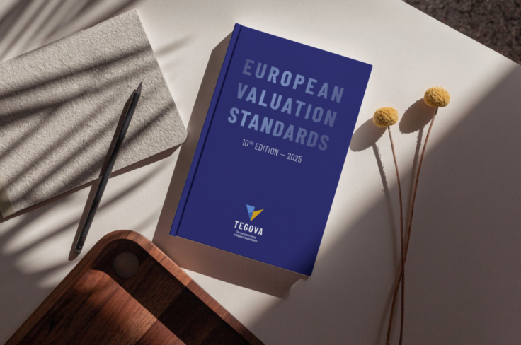 european valuation standard 2025