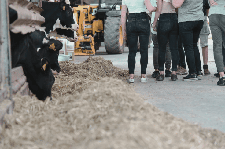landbrukstaksering på en gård