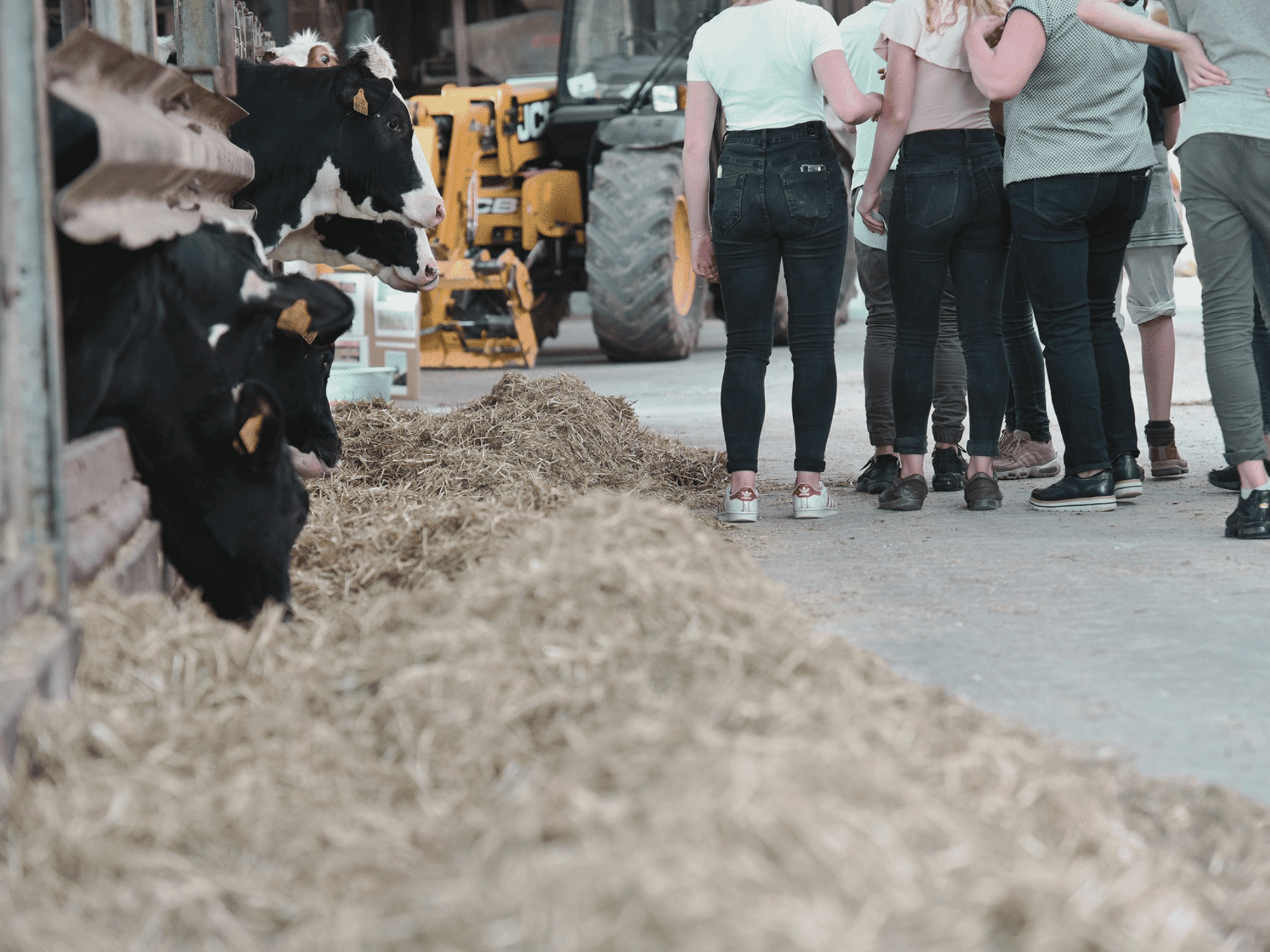 landbrukstaksering på en gård