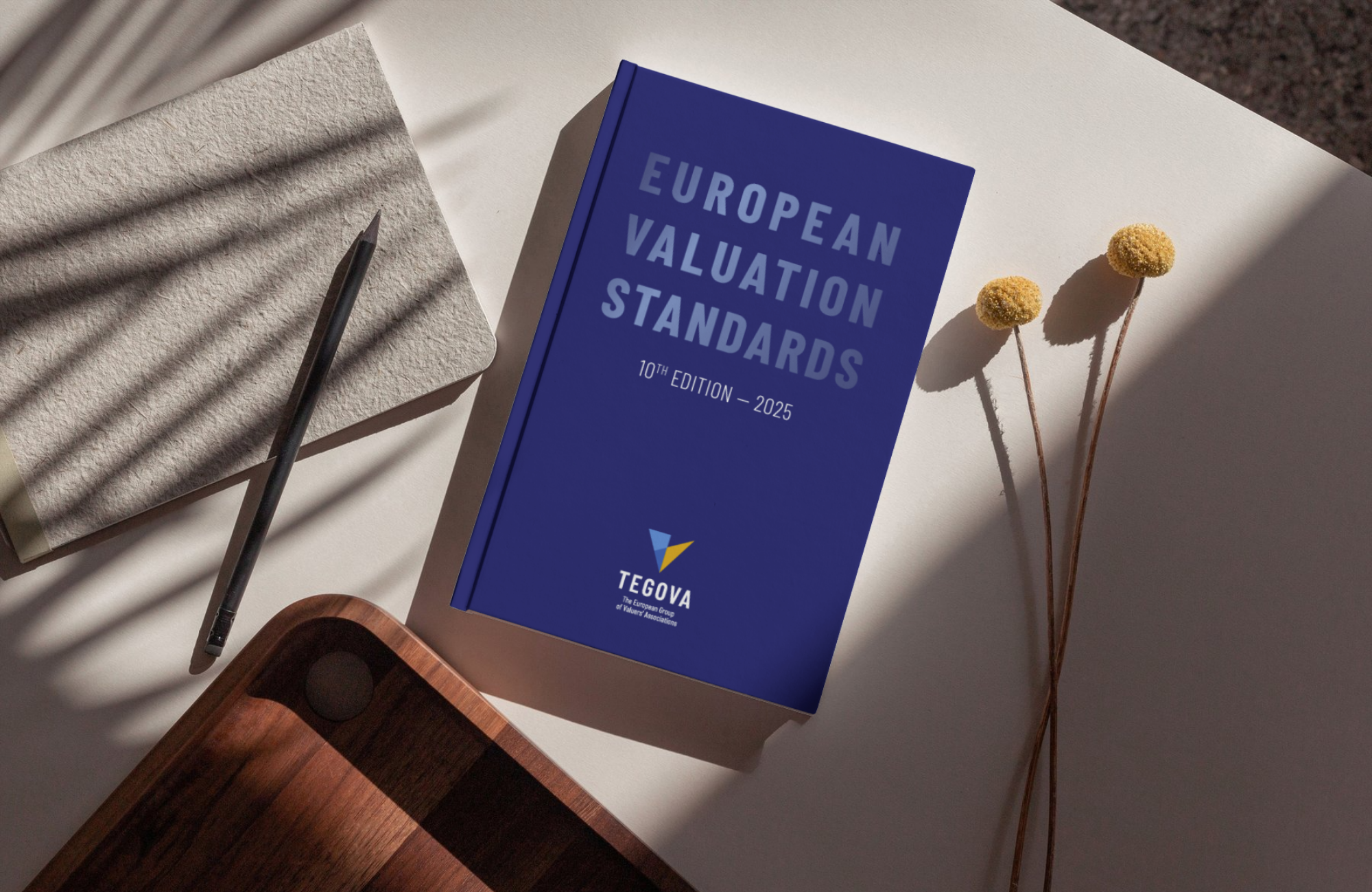 european valuation standard 2025